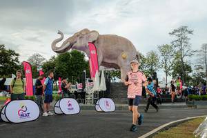 BIB: 
                            <button type="button" onclick="openModal(26528358)" class="btn btn-primary btn-sm float-right btn-popup" data-toggle="modal" data-target=".modal-high-quality">
                        <i class="fas fa-shopping-cart"></i> Add to Cart
                    </button>
                                            <button type="button" onclick="isThisMe(26528358, true)" class="btn btn-success btn-sm float-right btn-popup btn-isme hidden" data-toggle="tooltip" data-placement="bottom" title="นี่คือรูปของคุณใช่ไหม คลิกที่นี่เพื่อเอาเข้าอัลบั้ม">
                        <i class="fas fa-plus"></i> Add to album
                    </button>
                    <button type="button" onclick="isThisMe(26528358, false)" class="btn btn-warning btn-sm float-right btn-popup btn-isnotme hidden">
                        <i class="fas fa-ban"></i> Remove from album
                    </button>